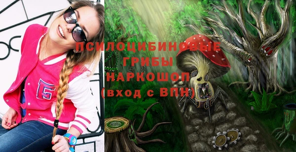 шишки Алексеевка