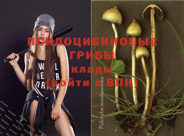 jwh Пересвет